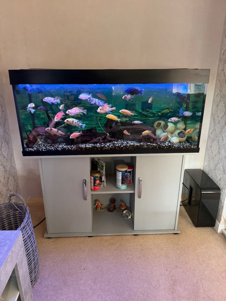 4ft 120cm Jewel Fish Tank Aquarium 