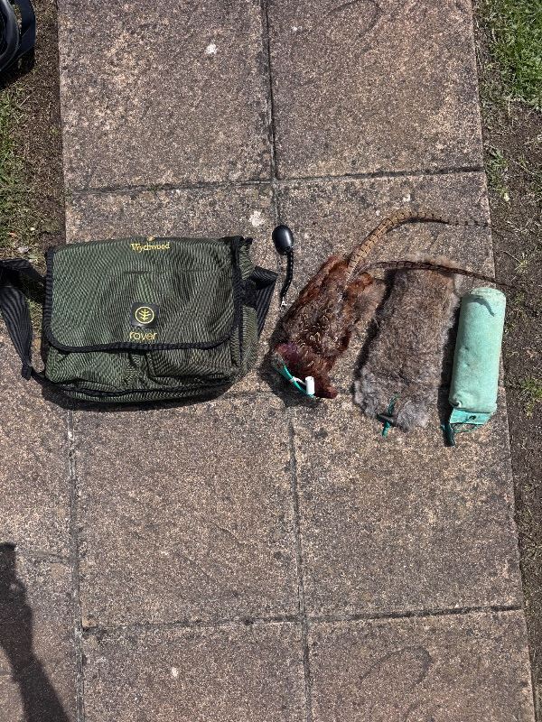 Gundog training dummies, bag and clicker