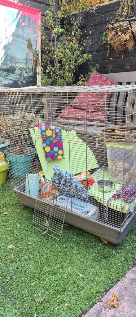 Pet cage bundle