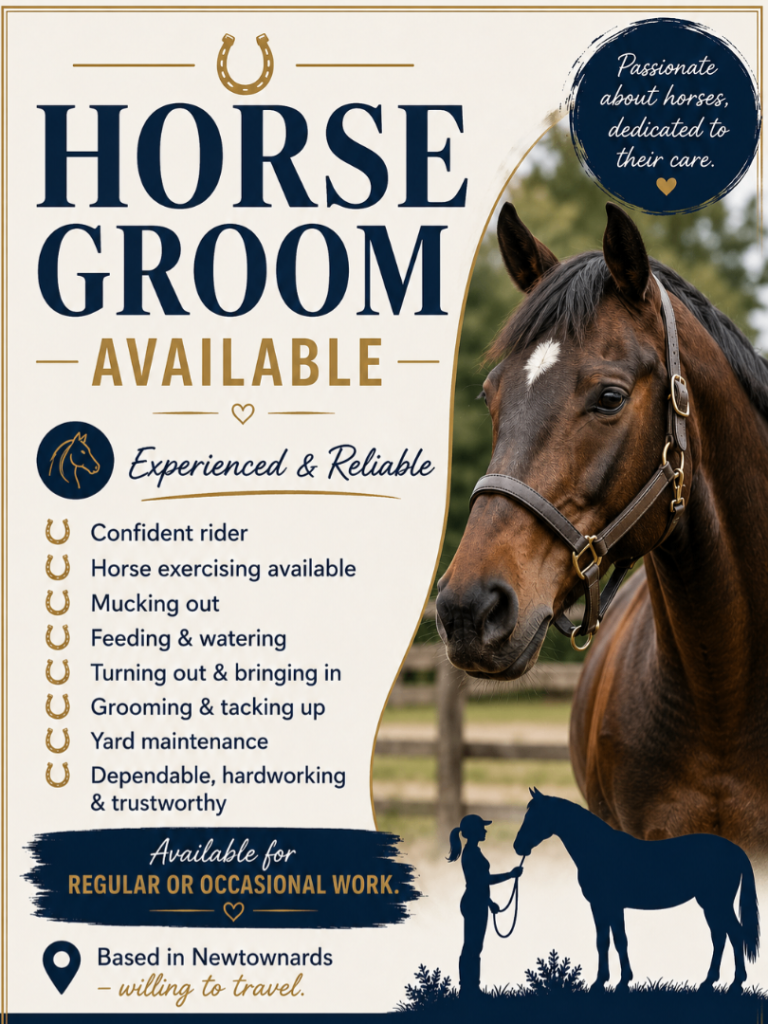 🐴 Horse Groom Available – Newtownards & Surrounding Areas 🐴
