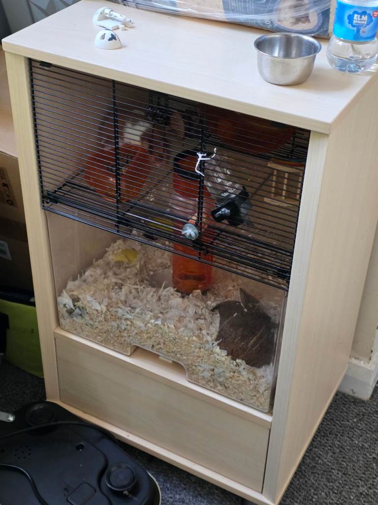 Hamster cage 