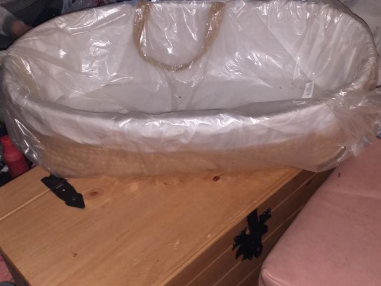 Moses basket
