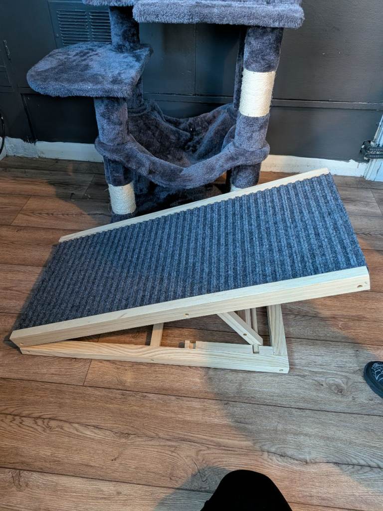 Dog ramp 