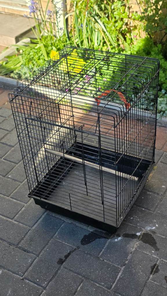 Black Metal Bird Cage
