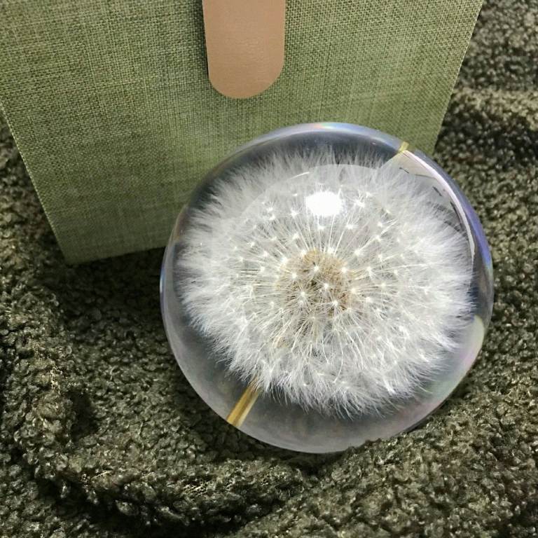 Handmade Resin Paperweight Embedded with Natural Dandelion Puff, Home Decor