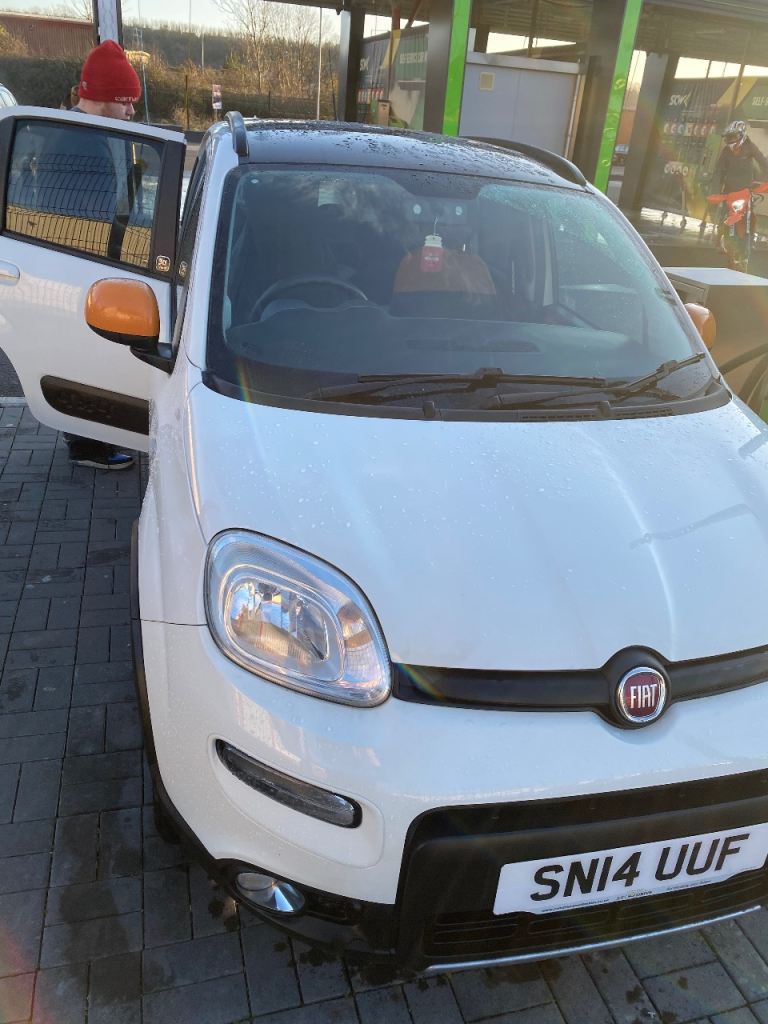 Fist panda Antarctica 