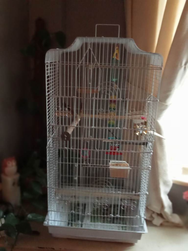 Large Bird Cage.