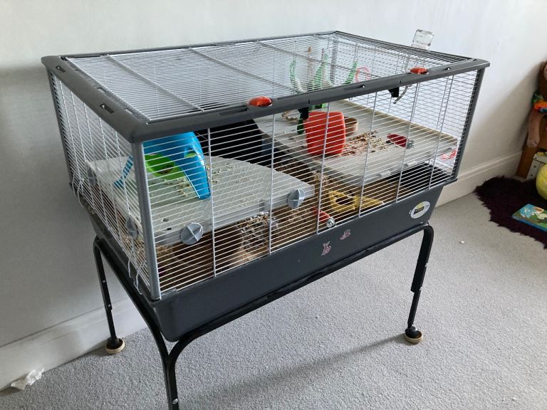 Hamster cage