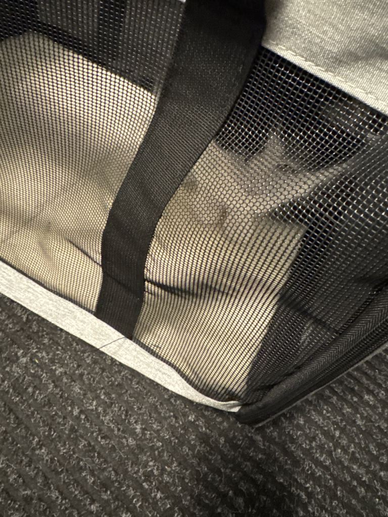Cat carrier 