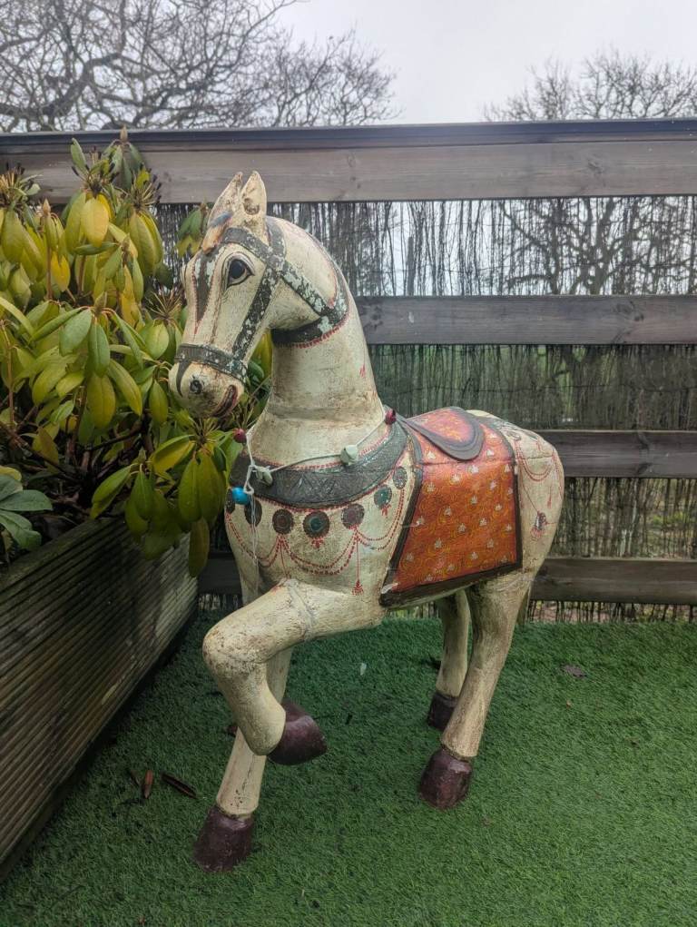 ​Indian wedding horse