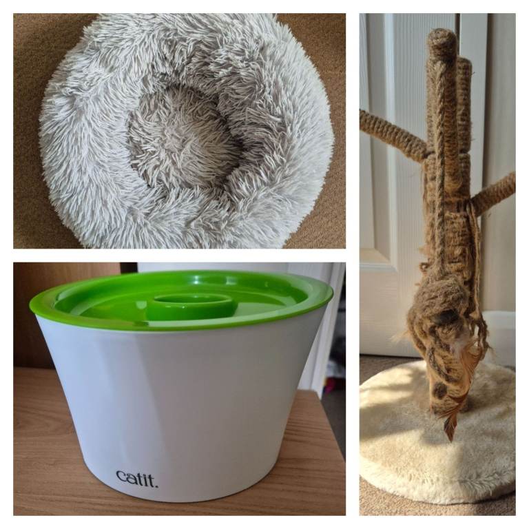 Cat feeder/slow feeder, scratch post and bed in used condition, price is for everything