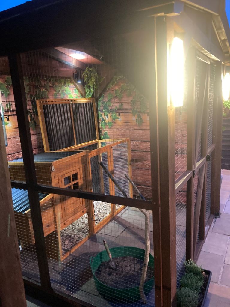 Chicken coop with nests boxes and run 