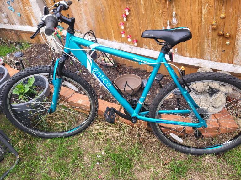 Mountain bike 