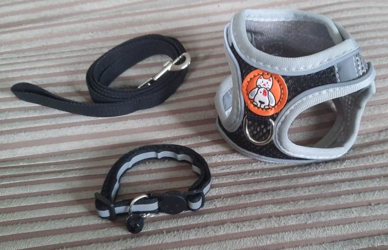 Small pet harness and lead 