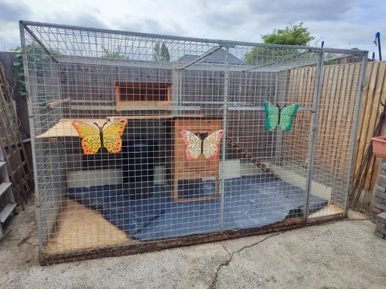 Large Walk-In Chicken Coop & Run – Ready to Use