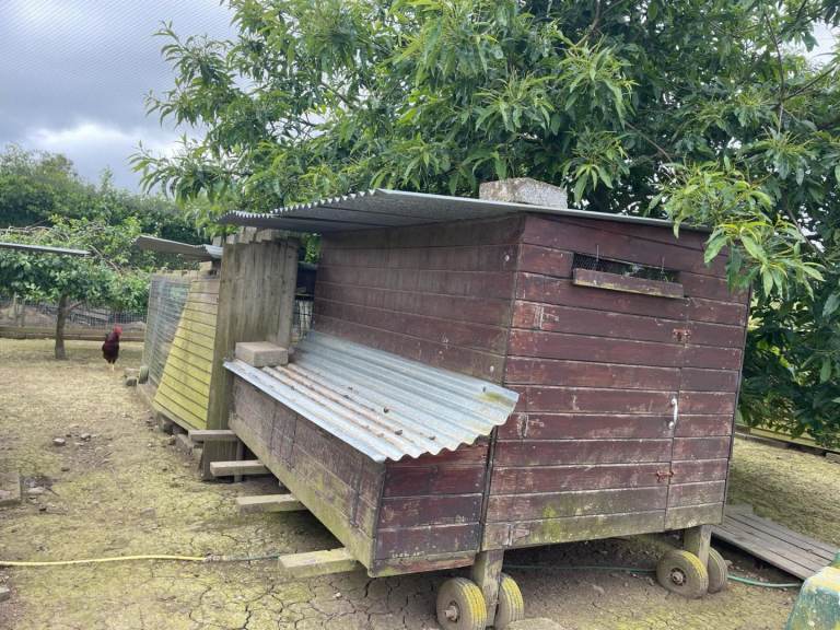Hen house