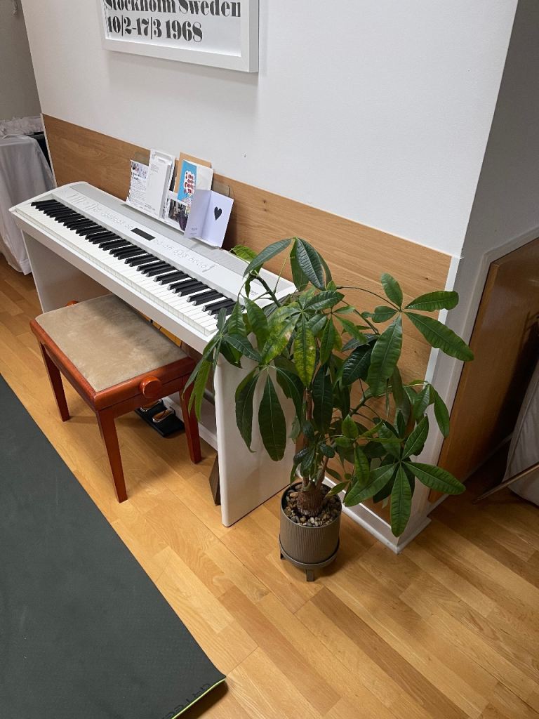 Roland FP-60 White with Home Stand