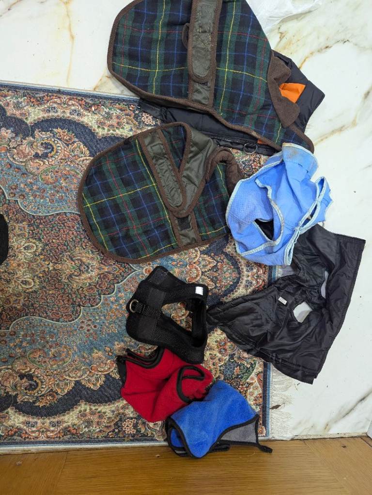 Small dog clothes free