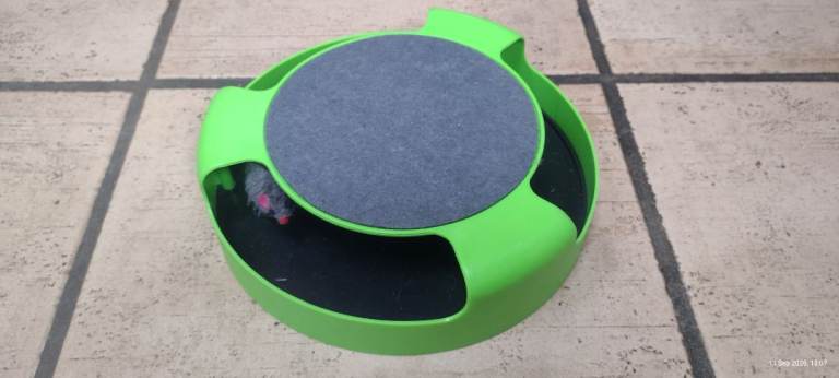 Green and black cat toy with mouse
