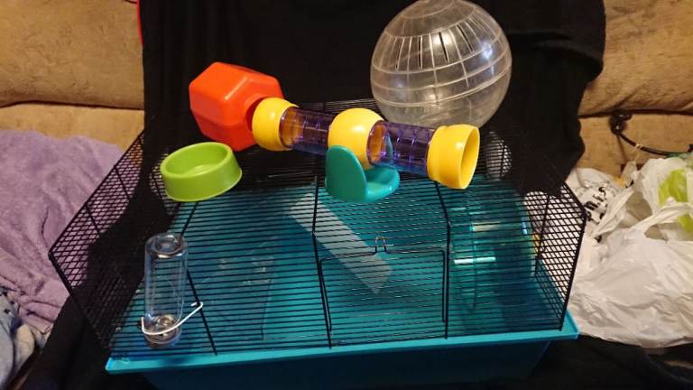 Large Hamster cage and accessories 