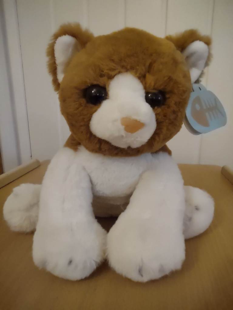 BRAND NEW Cute Kitten Soft Toy