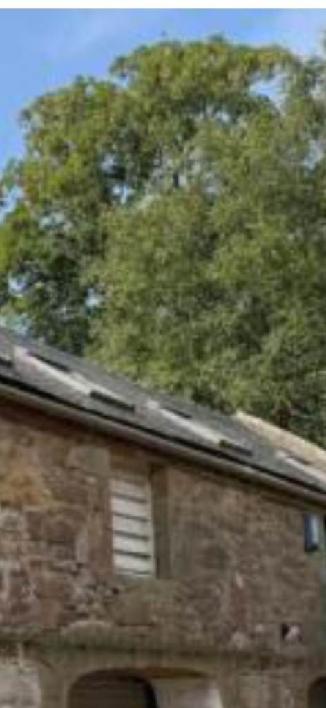 Pigeon Roofing and building services 