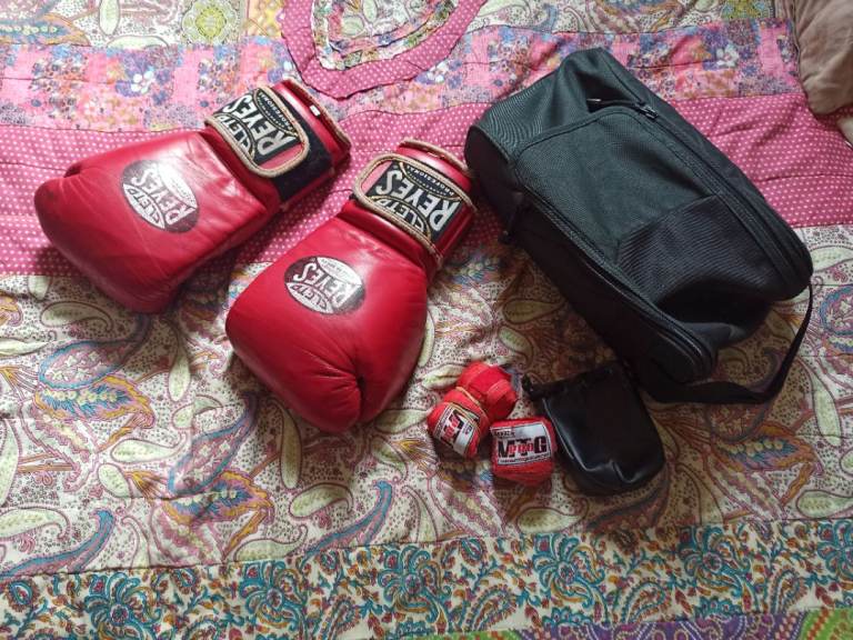 Cleto reyes plus punch bag