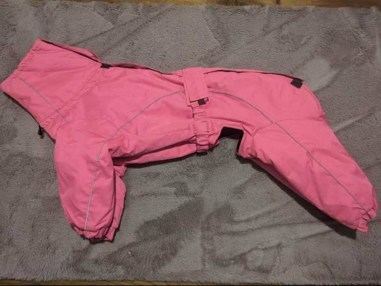 Greyhound pink winter dog coat