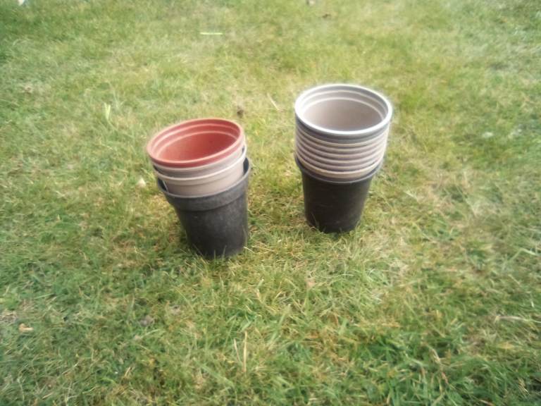 Selection of small greenhouse potting plant pots