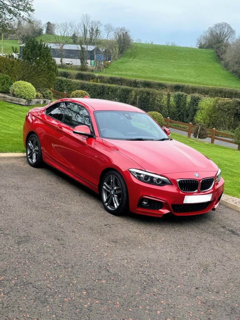 BMW, 2 SERIES, M-Sport Coupe, 2019, Semi-Auto, 1995 (cc), 2 doors