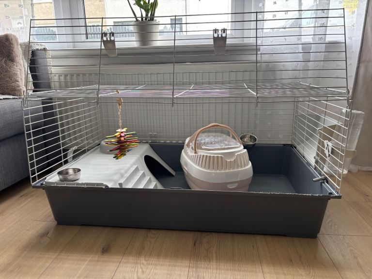 Large Guinea Pig Cage with Accessories & Travel Carrier