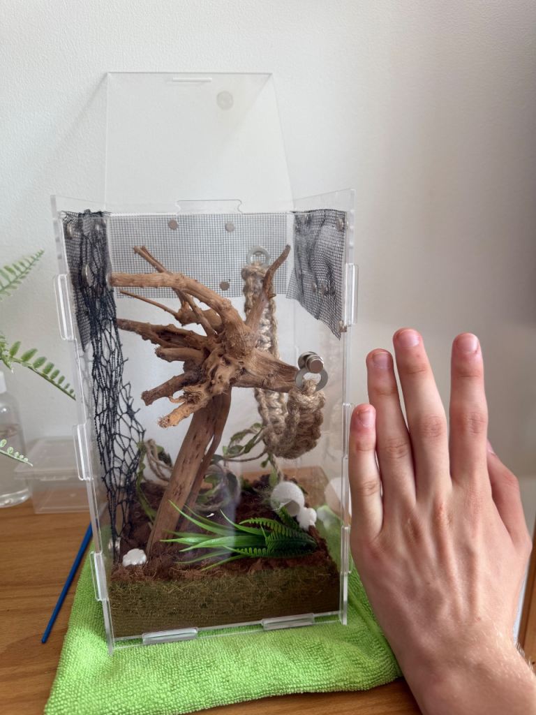 Small pet spider/insect enclosure and accessories 