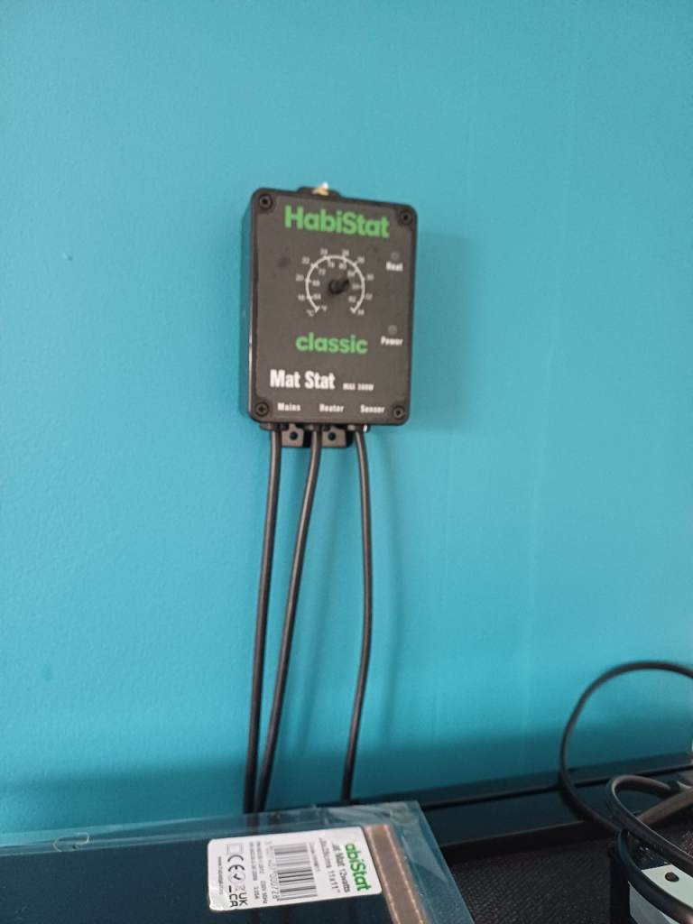 Full set up for reptile / gecko