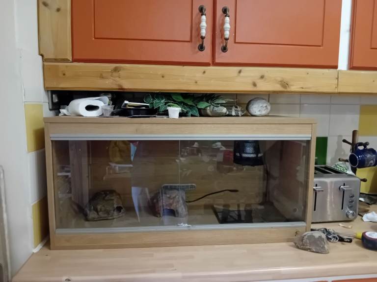 110 litre vivarium perfect for lizards, geckos and snakes