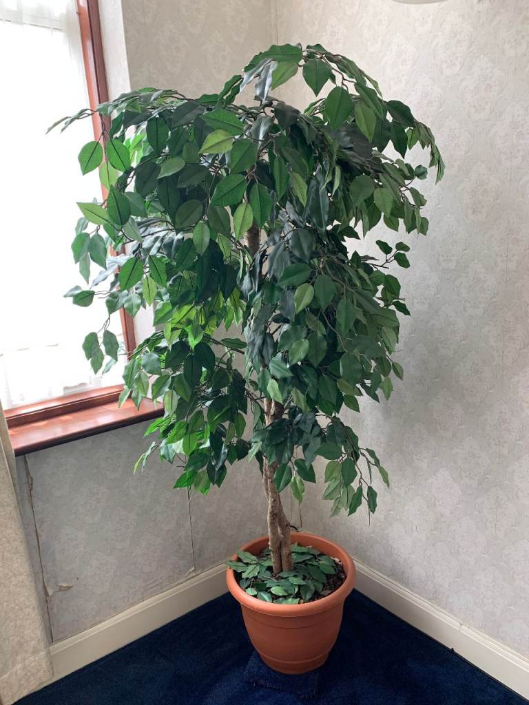 Artificial Plant