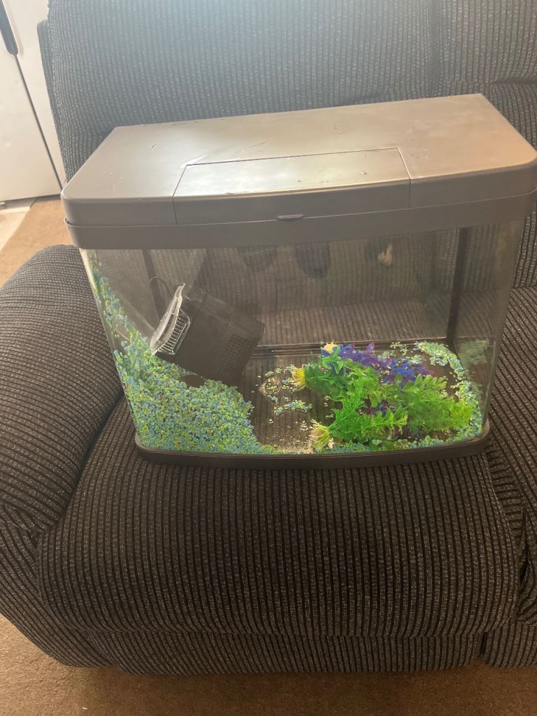 Fish tank 40 litres 