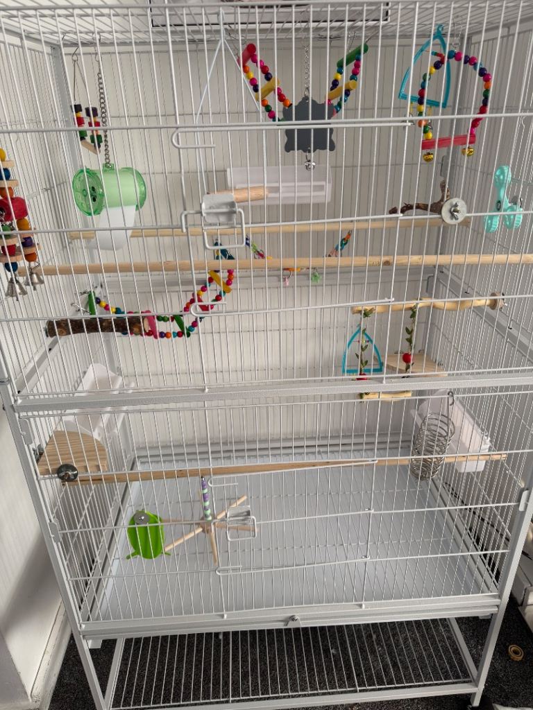 bird cage with toys and items