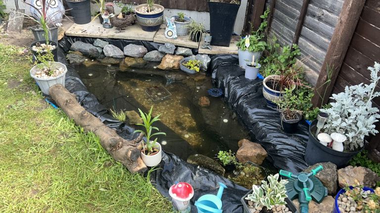 After Rockery for Pond Please 🙏 