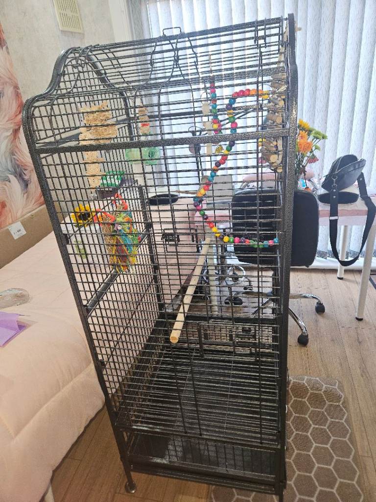 Large parrot cage 