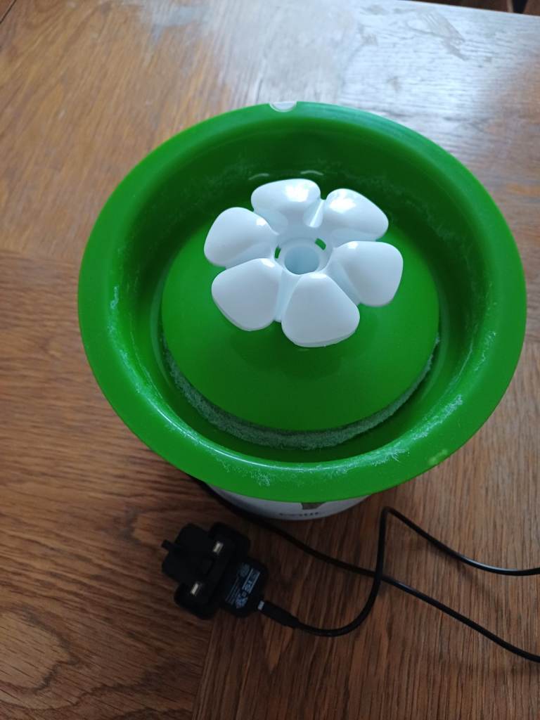 Cat drinking  water  fountain 