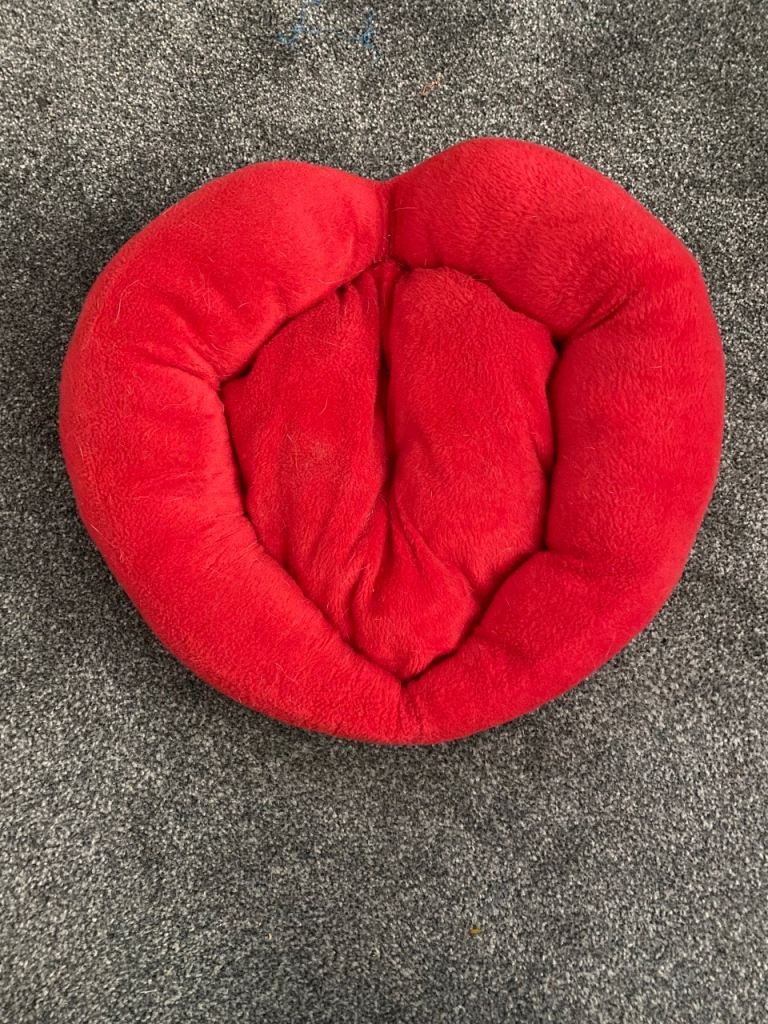 Cat bed/ cushion 
