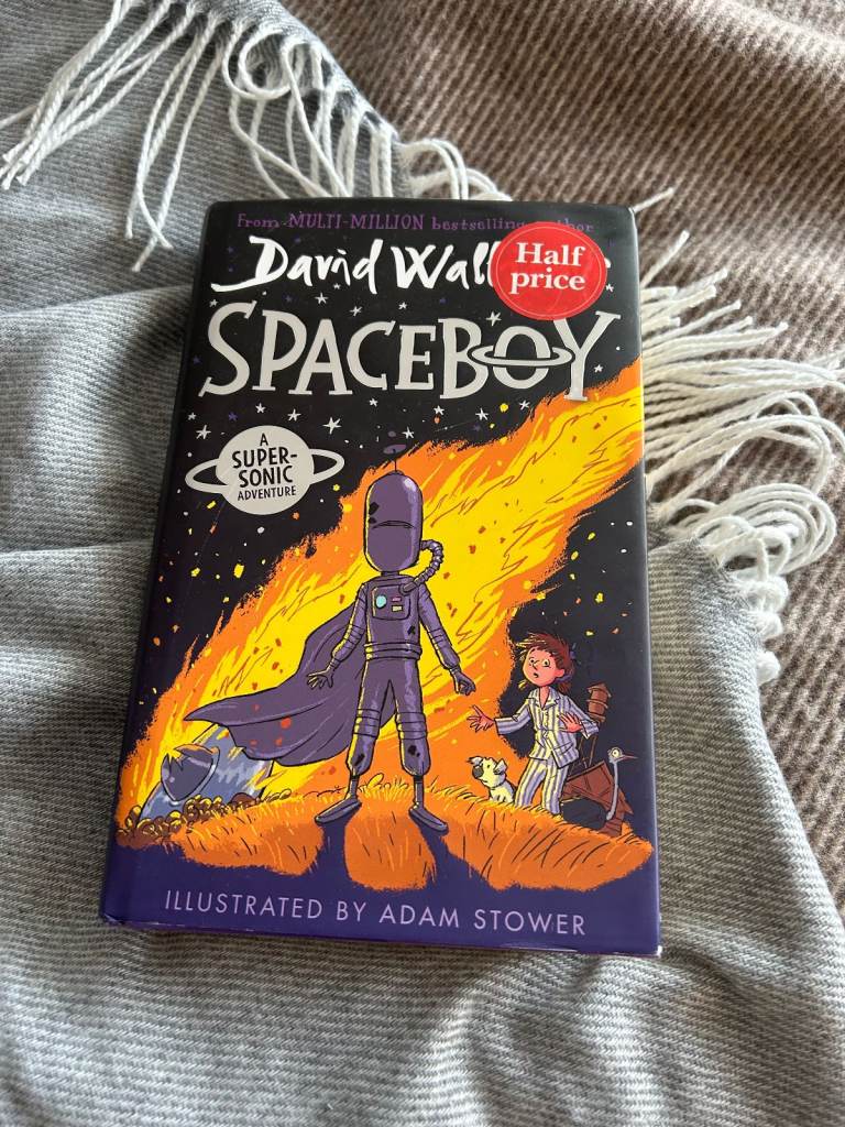 2 books - Spaceboy and Fing by David Walliams, both good condition, read once