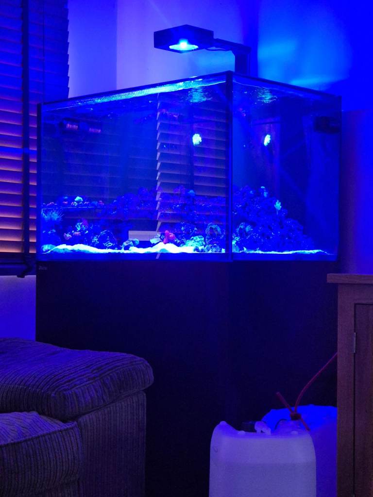 Red sea reefer 300xl g2 