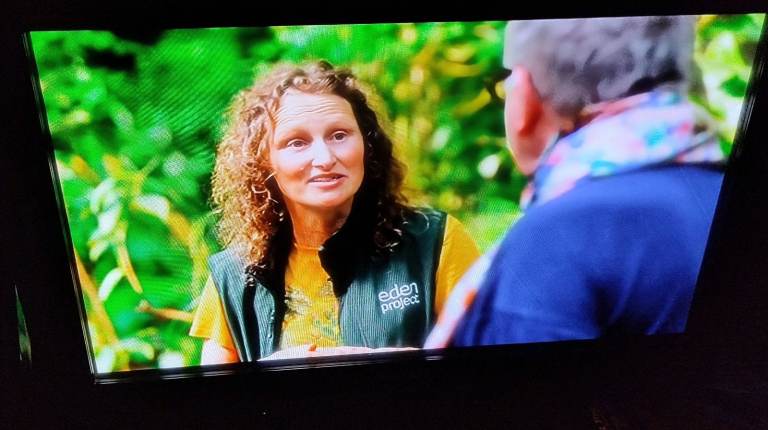 panasonic 37inch tv (not smart) 