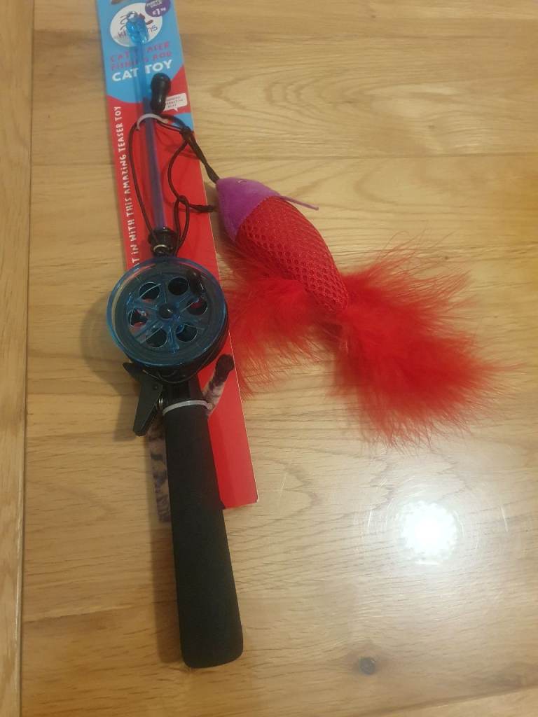 Cat toy 