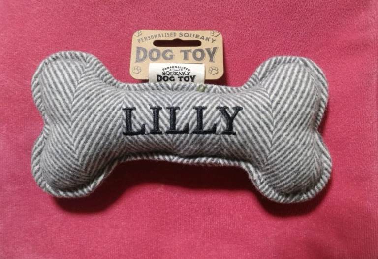 Lilly Dog Toy Bone With Squeaker - Brand New