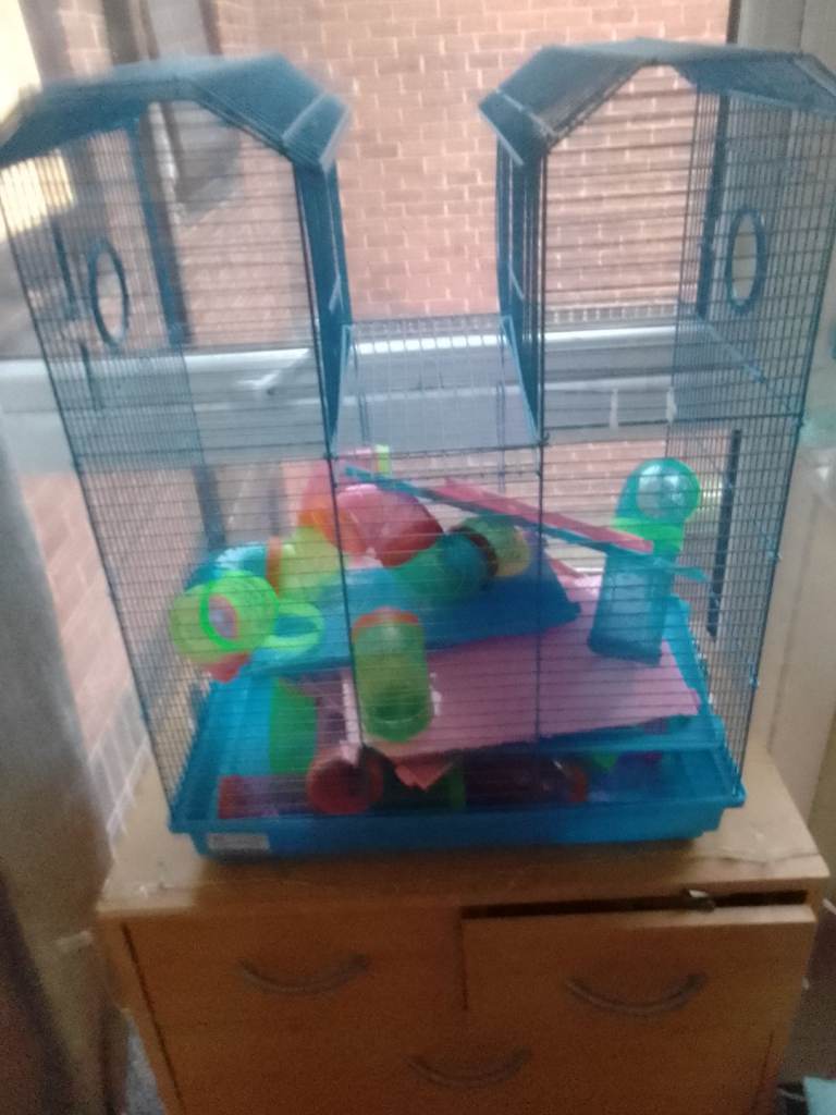 Hamster cage with accessories 
