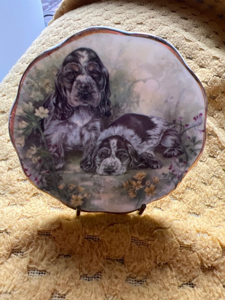 Vintage small bone china springer spaniel  plate with display stand 