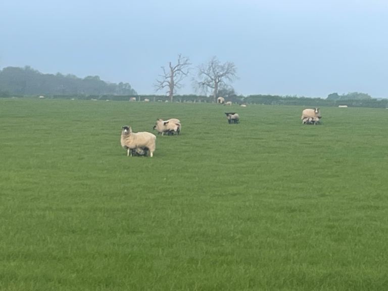 Wanted Rural property to rent 