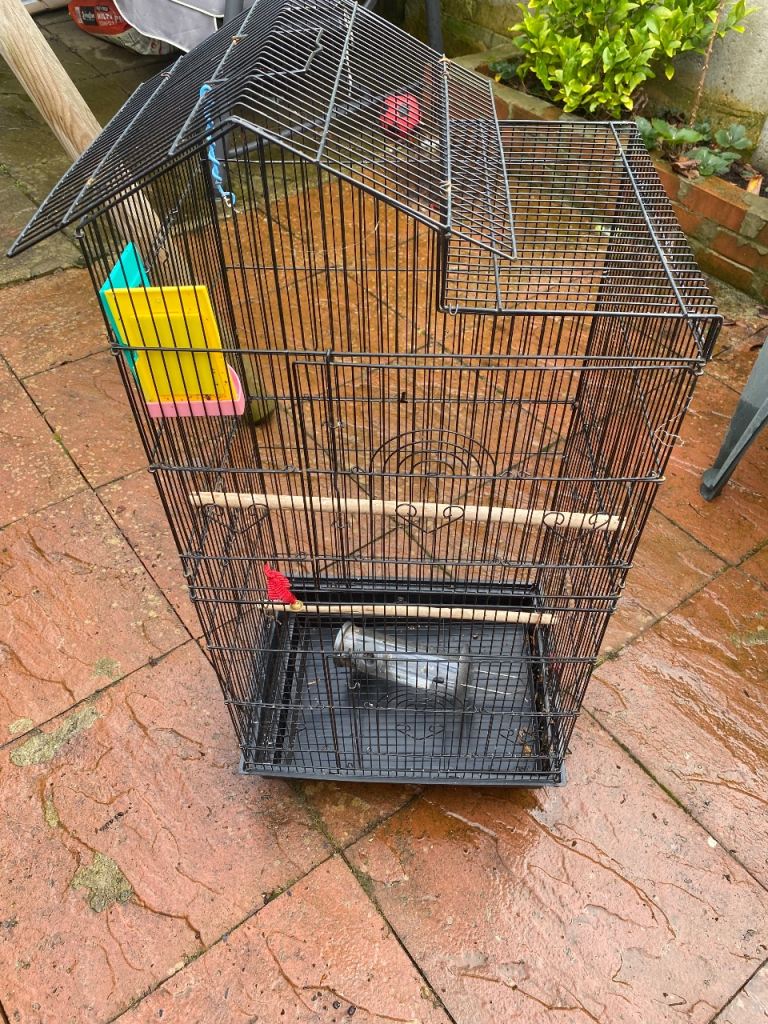 Cage for birds